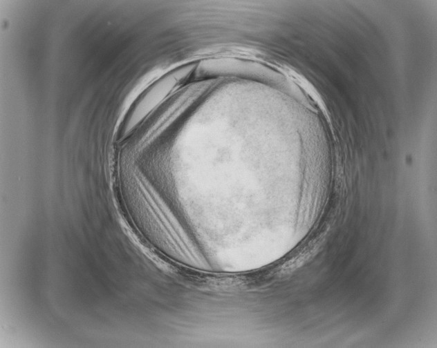 X0000085740997200704131640