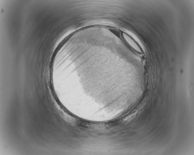 X0000085740999200704131640