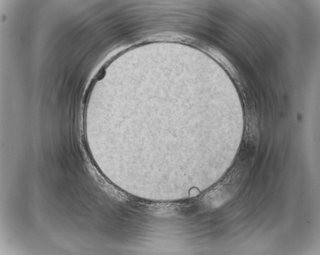 X0000085741000200704131640