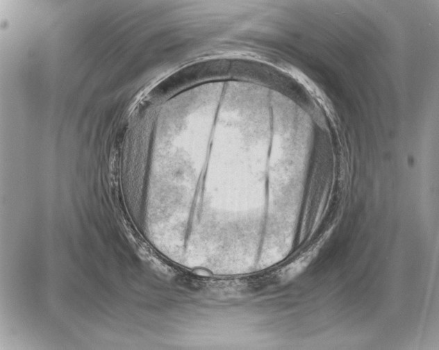 X0000085741001200704131640