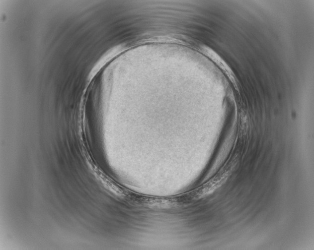X0000085741002200704131640