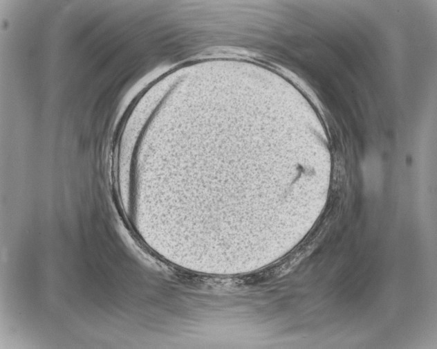 X0000085741003200704131640