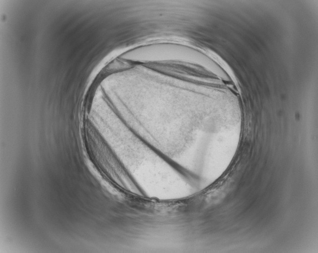 X0000085741005200704131640