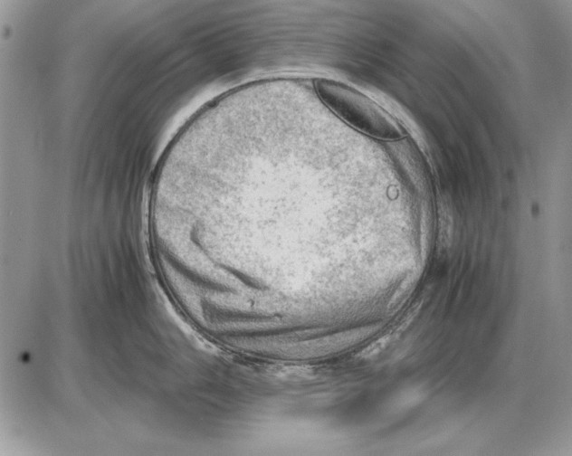 X0000085741006200704131640