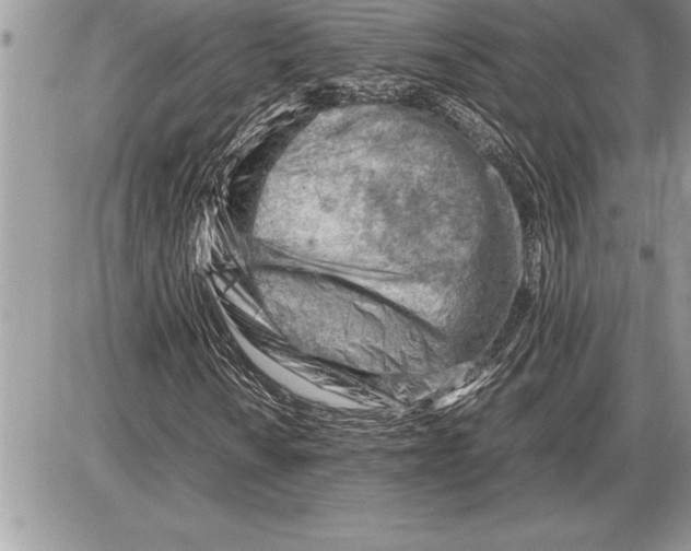 X0000085741010200704131639