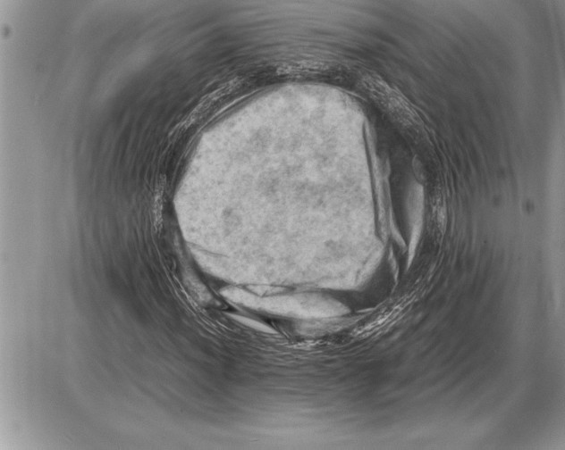 X0000085741012200704131639
