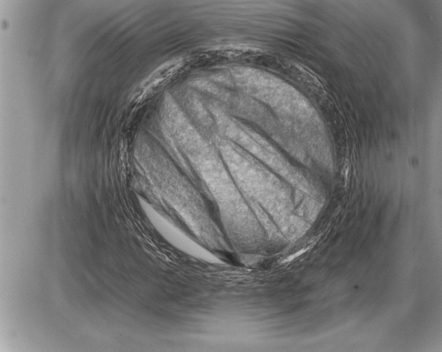 X0000085741014200704131639
