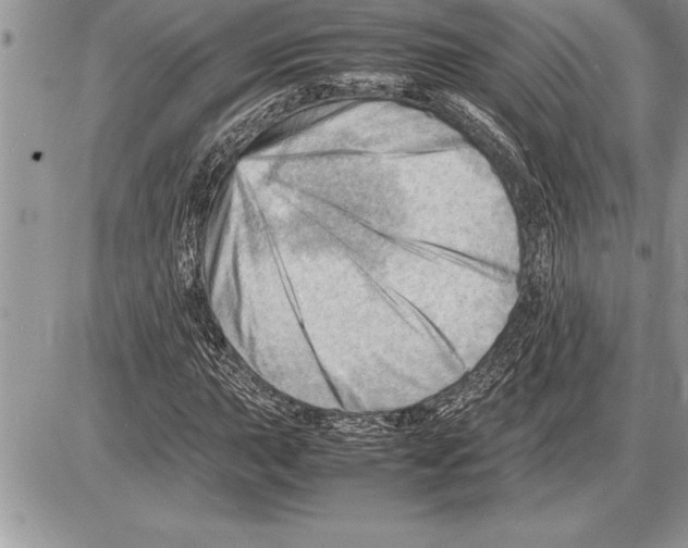 X0000085741015200704131639