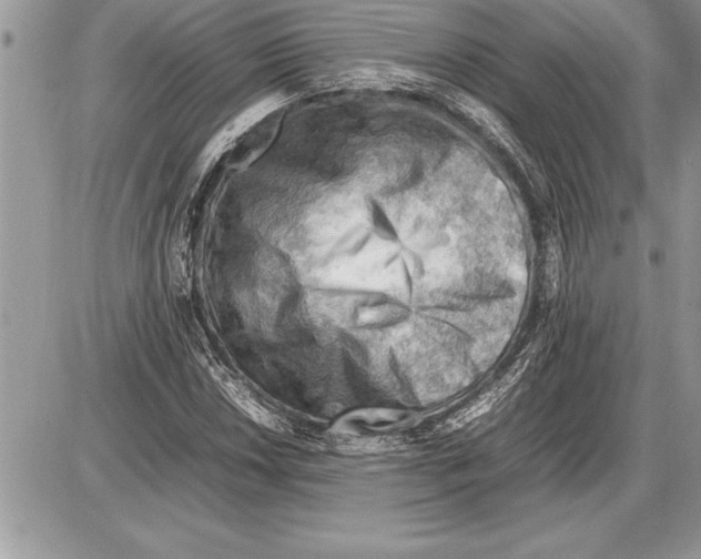 X0000085741018200704131639