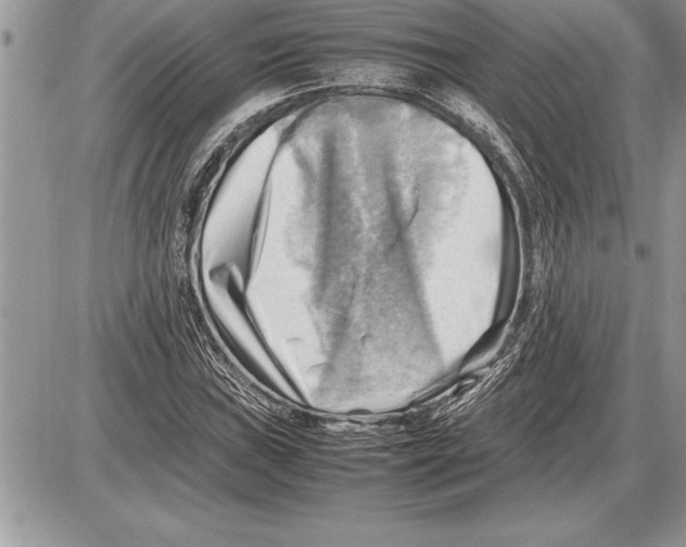 X0000085741019200704131639