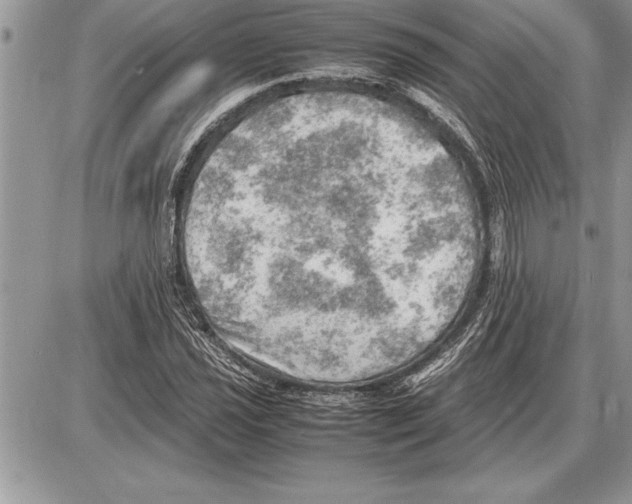 X0000085741021200704131639