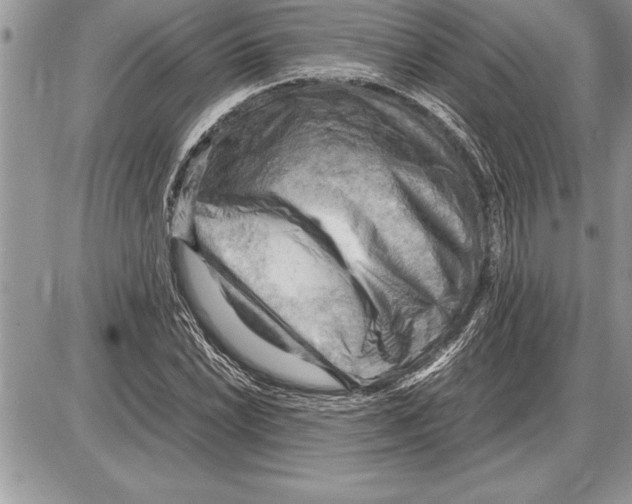 X0000085741022200704131639
