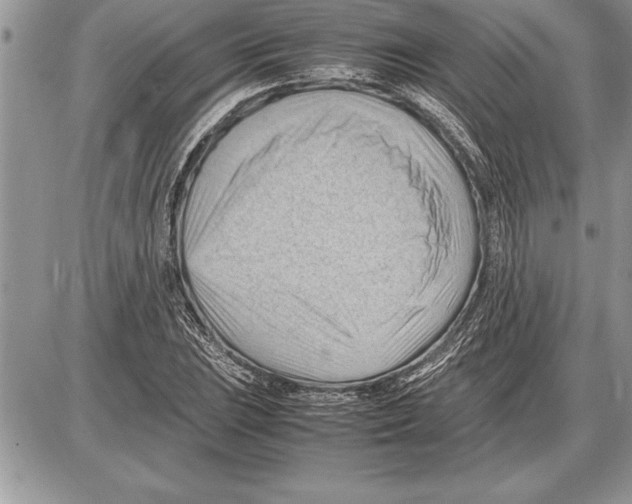 X0000085741023200704131639
