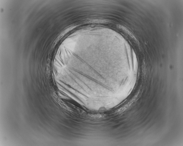 X0000085741025200704131639