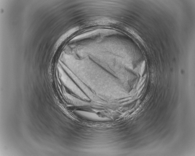 X0000085741026200704131639