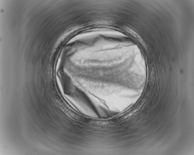 X0000085741027200704131639