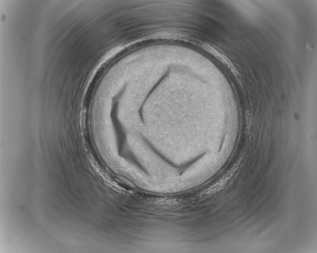 X0000085741029200704131639