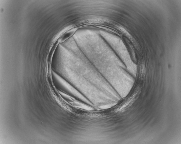 X0000085741034200704131639