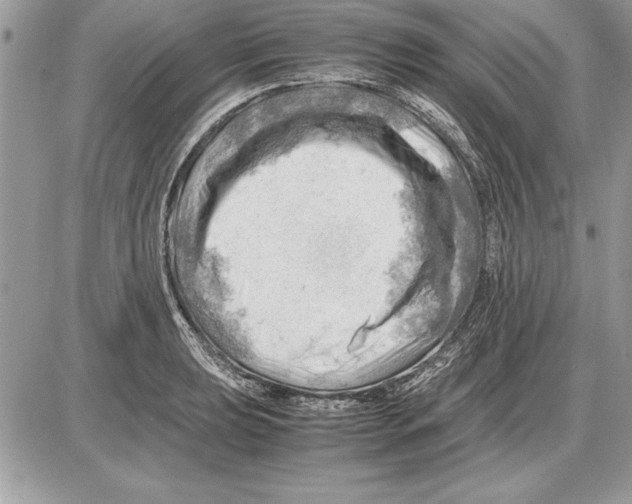 X0000085741039200704131640