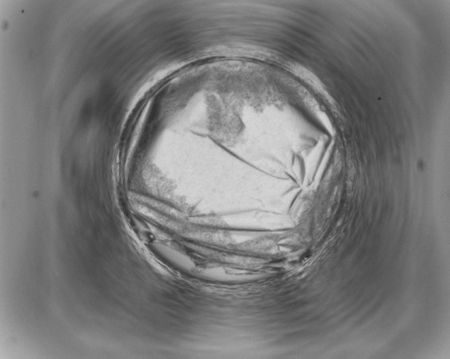 X0000085741040200704131640