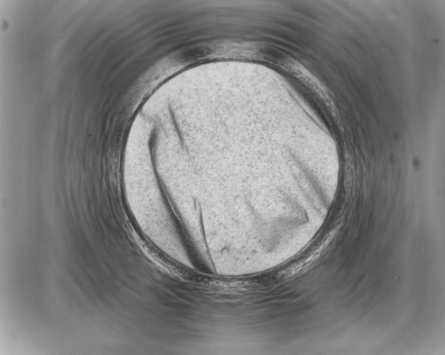 X0000085741041200704131640