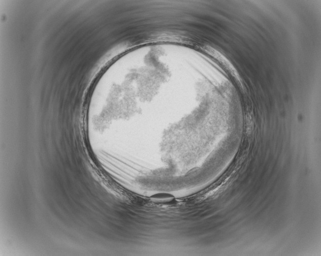 X0000085741043200704131640