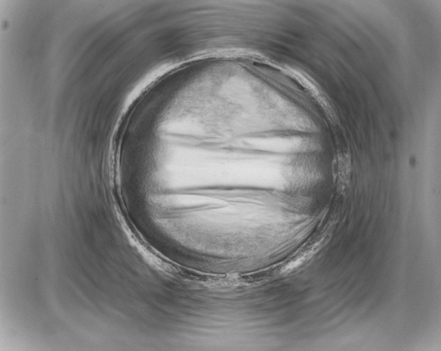 X0000085741046200704131640