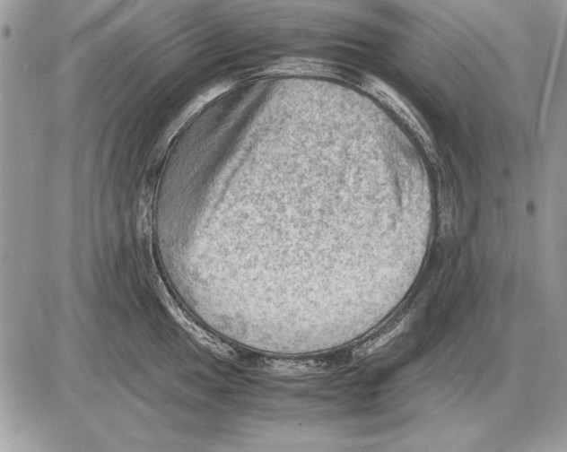 X0000085741049200704131640