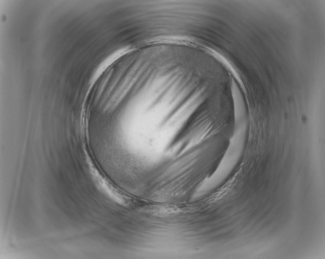 X0000085741050200704131640