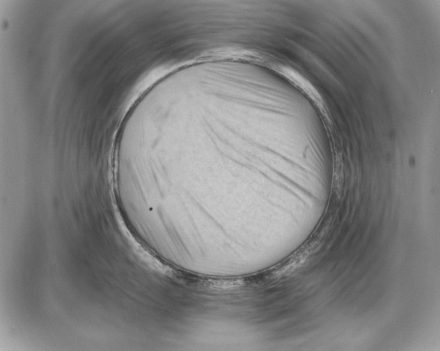 X0000085741055200704131640