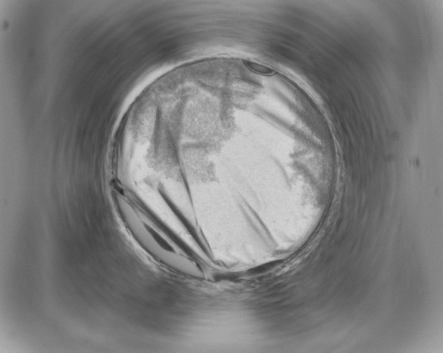 X0000085741056200704131640