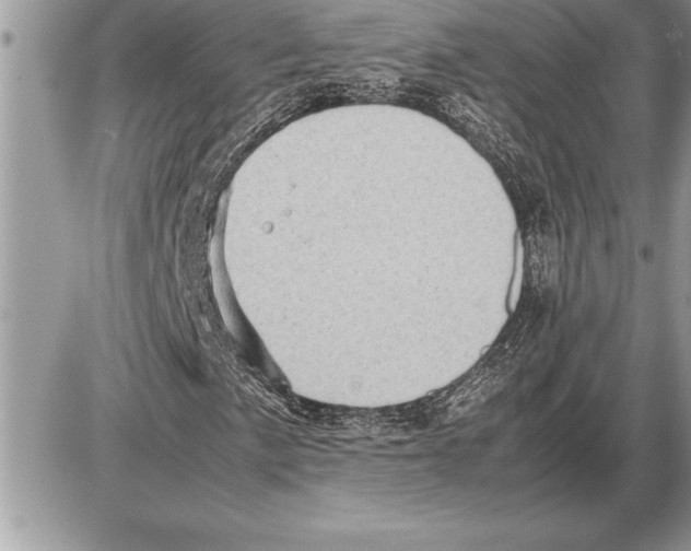 X0000085741057200704131639