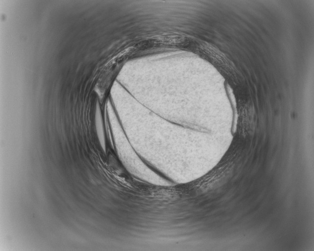 X0000085741058200704131639
