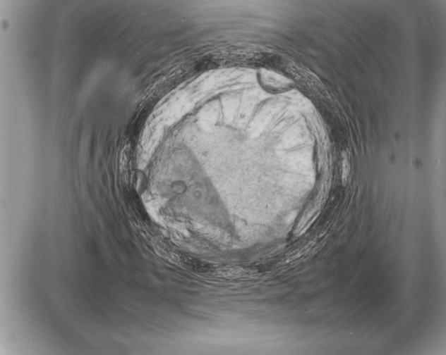 X0000085741059200704131639