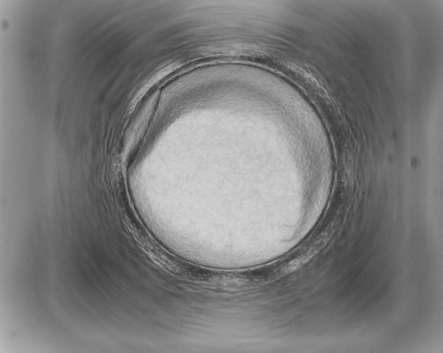 X0000085741073200704131639