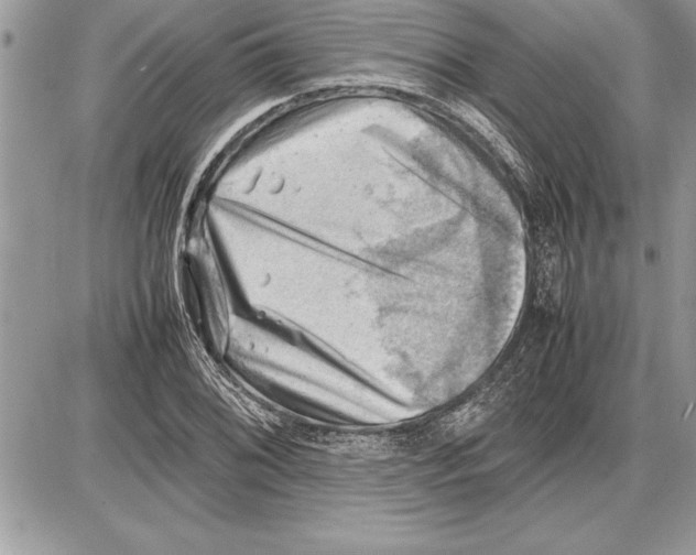 X0000085741076200704131639