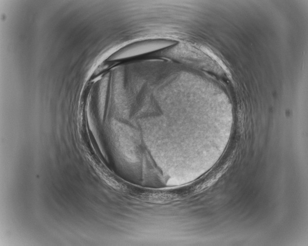 X0000085741077200704131639