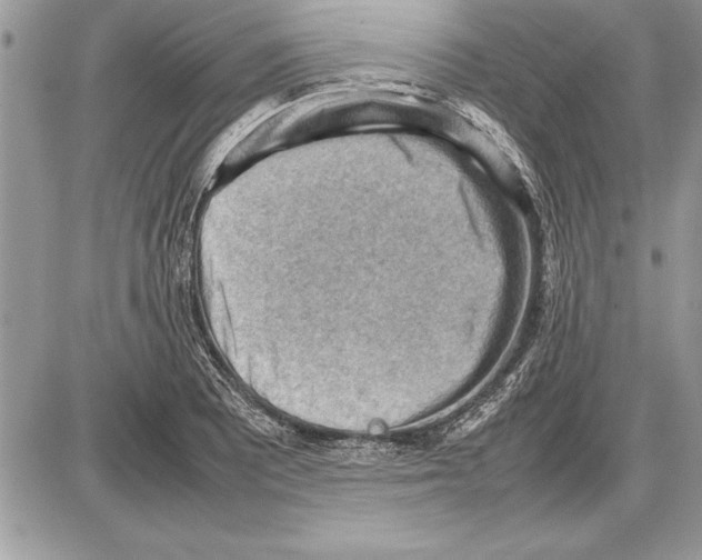X0000085741081200704131639
