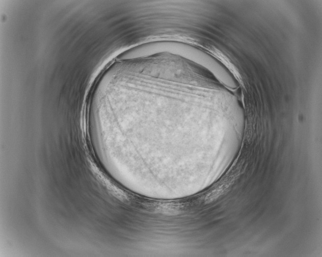 X0000085741084200704131639