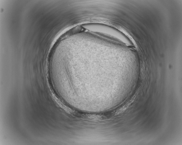X0000085741085200704131639
