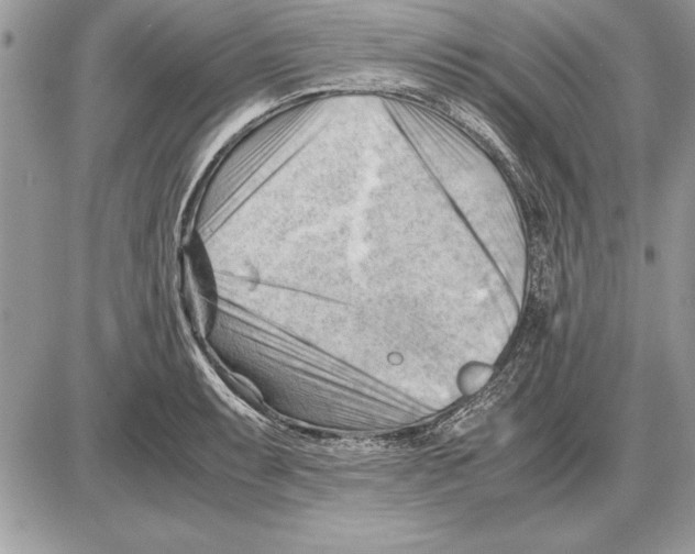 X0000085741087200704131639