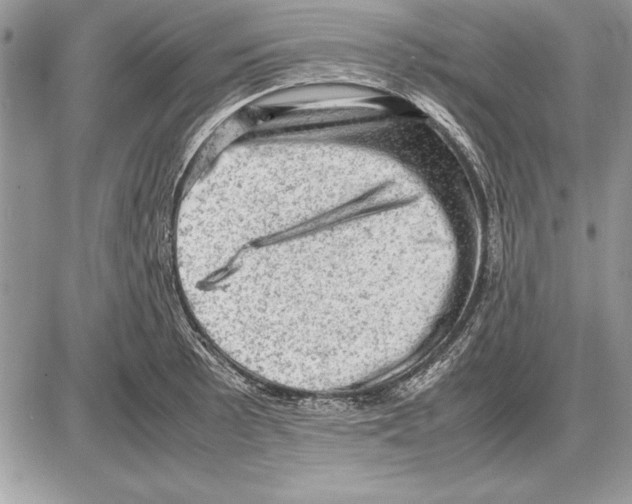 X0000085741089200704131639
