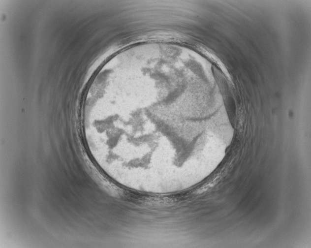X0000085741091200704131638