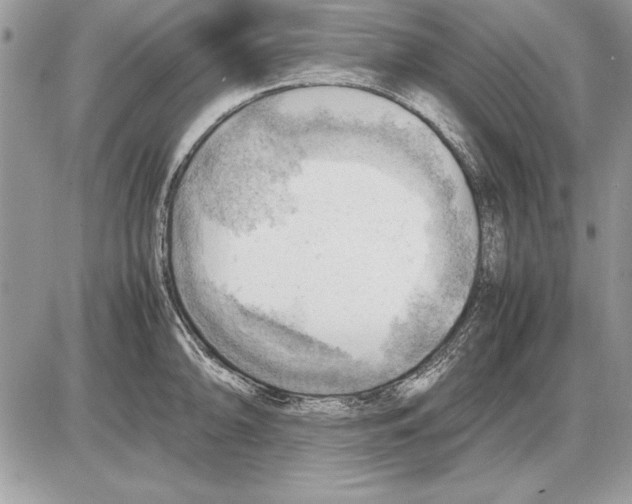 X0000085741094200704131638