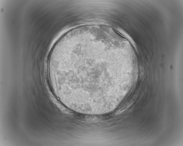 X0000085741099200704131638