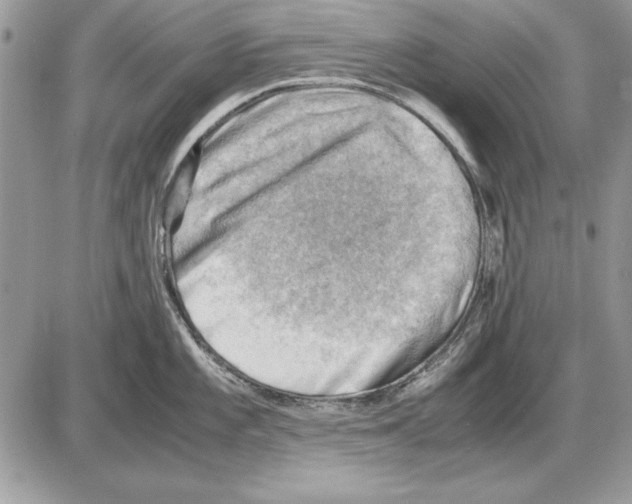 X0000085741101200704131638