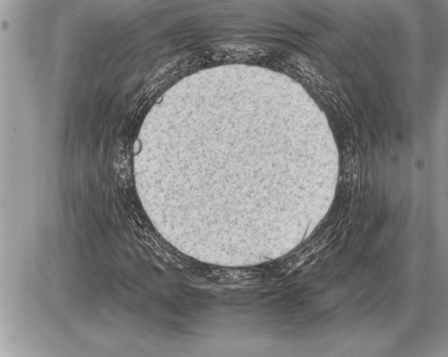 X0000085741109200704131638