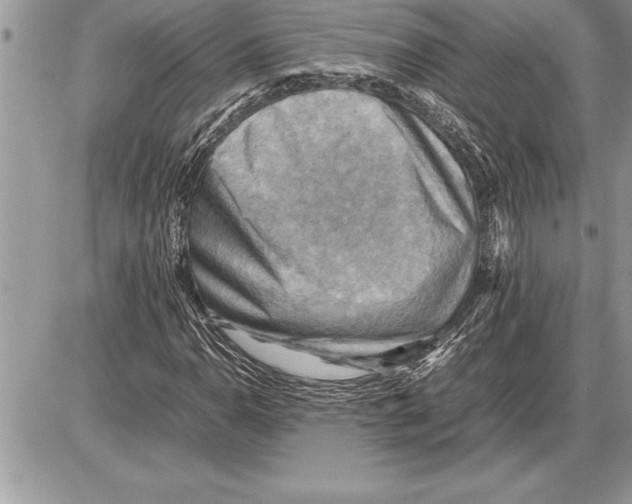 X0000085741110200704131638