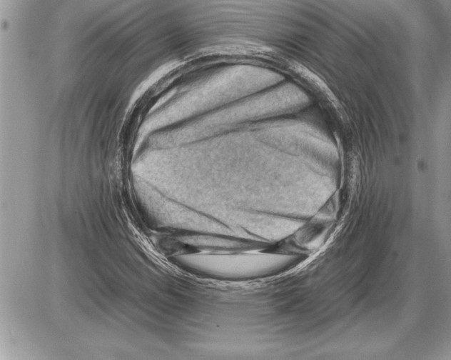 X0000085741114200704131638