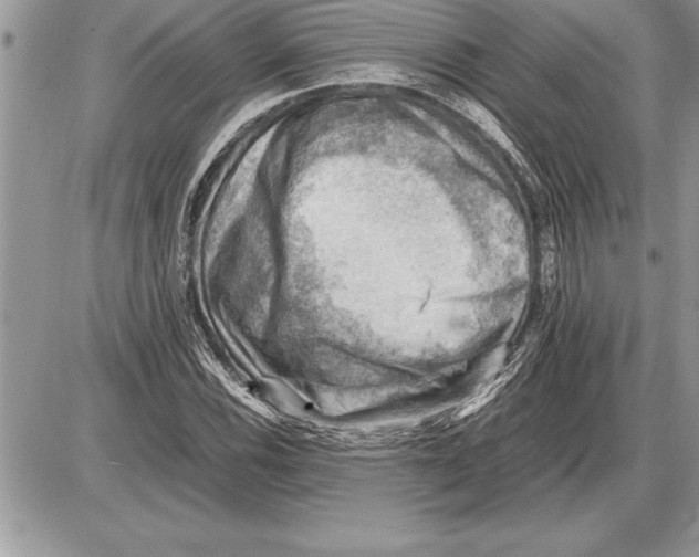 X0000085741116200704131638